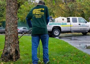 Man Applying Fertilizer to the Tree