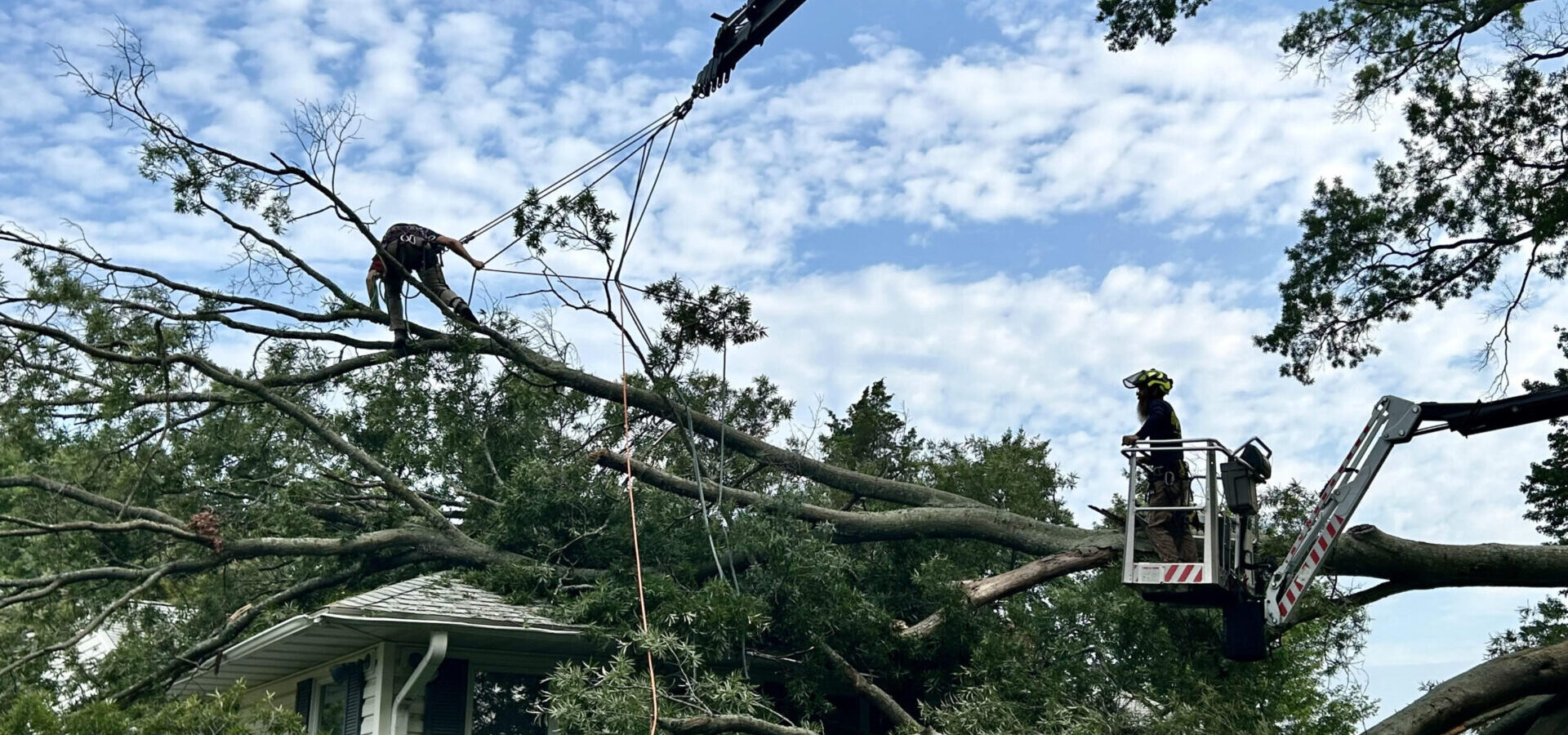 Fast, Affordable & Professional